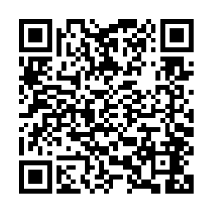 但是当那个和当年并没有什么区别的绯绯出现在他们面前的时候二维码生成