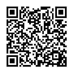 但是当马文询问关于兰斯以及要素数据化系统更多信息的时候二维码生成