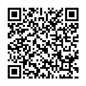 但是当黑桃7将三年前的变故的原因告诉赵纯良的时候二维码生成