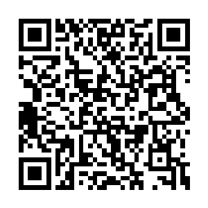 但是往外的路口同样出现了定国王府的精锐暗卫二维码生成