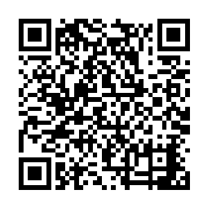 但是很明显他也看得出来陈凌非同一般的强大力量二维码生成