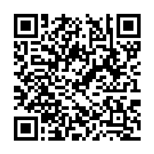 但是心中却是懊悔不已本来以为跟踪两个少爷而已二维码生成