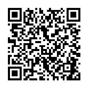 但是性格本来就孤傲冷淡的艾莎并没有往这里移民二维码生成