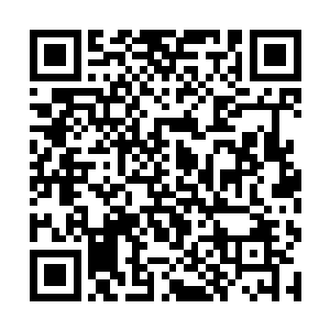 但是想到出了迦南秘境后曜日军团和极光军团的势力二维码生成