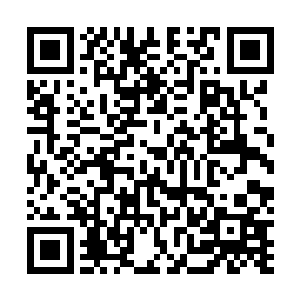但是想到刚才大长老对周怀轩的小妻子行的堕民王者之礼二维码生成