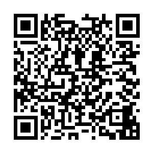 但是想要伤害他们两个人尊期大修士还是有些距离二维码生成