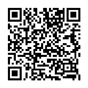 但是想要布置一个护山大阵可是一个巨大的工程二维码生成