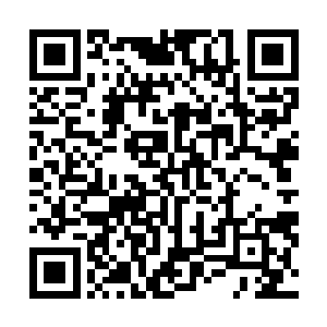 但是想要灭杀真正的圣祖级别的高手显然根本就是不够的二维码生成