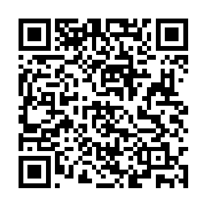 但是意料之外的是大古的第四阶段进化居然是人形二维码生成