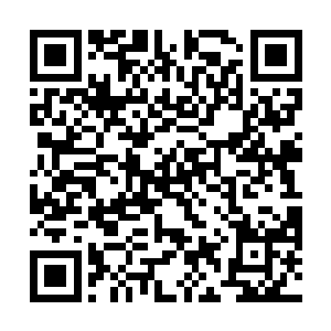 但是愿赌服输……愿赌服输……他愿赌不服输行不行啊二维码生成