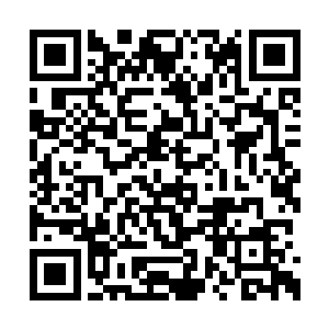 但是我一抬头就看到有一大片尸体堆积在我身前二维码生成