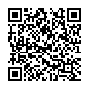 但是我不愿意一辈子背着靠抢前辈代言出名的名声二维码生成