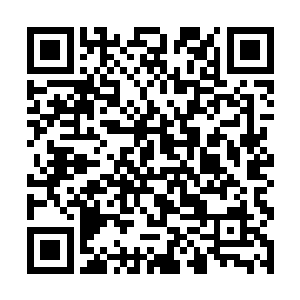 但是我不确定他们能不能在天级高手的攻击下活下来二维码生成