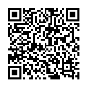 但是我不能保证所有人都可以安全的撤离这个地方二维码生成