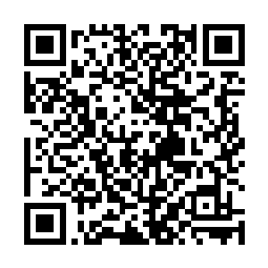 但是我也无法用语言来全面的叙述出我为你建造的城市二维码生成