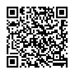 但是我也没想到这些人的实力居然会提升的这么快二维码生成