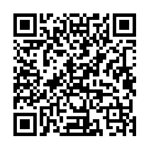 但是我们并不知道三十万年前的上古世界到底发生了什么二维码生成