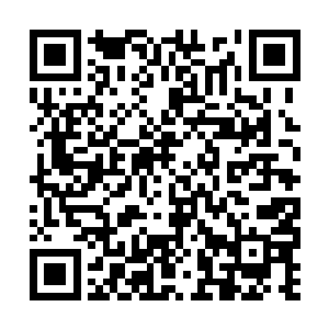 但是我们梓家仍旧愿意养着你的……是不是啊妈妈二维码生成