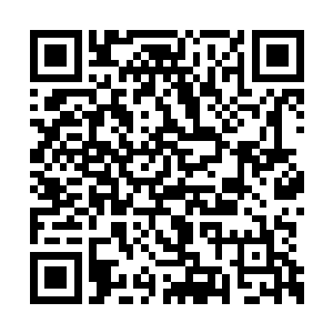 但是我们硬是顽强地在这个冰冷的社会里生存着二维码生成