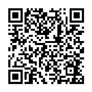 但是我却得苦苦的举着一个几百斤的大乌龟苦撑着二维码生成