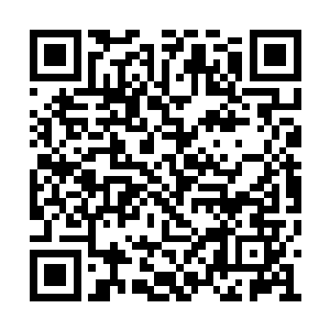 但是我却能看到了这个孩子眼中的倔犟和不甘心二维码生成