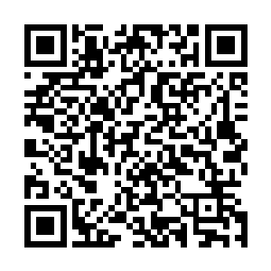 但是我和张山都能感受到这雷电当中所蕴含着的强大的力量二维码生成