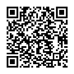 但是我孙媳妇厉害啊――我看以后谁还敢小看我们方家――二维码生成
