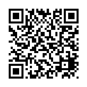 但是我带来的那枚印鉴可做不得假二维码生成