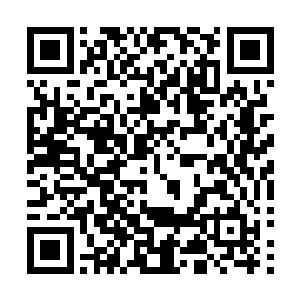 但是我很好奇这里哪有这么多的活人来饲养这些嗜血的瓢虫二维码生成