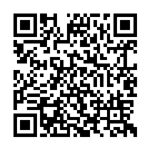 但是我还能掠夺别人的真龙令啊……我还有机会二维码生成