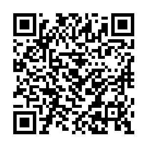 但是战斗起来的速度却只能和四鼎九阶左右相比二维码生成