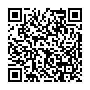 但是所有人都可以想象的到王启涛此刻的面部表情二维码生成
