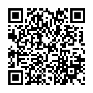 但是手里拎着点心盒子的定王也一样让人受不了二维码生成