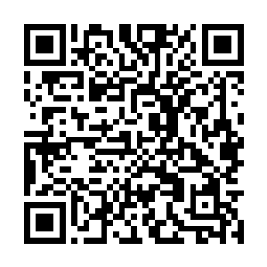 但是扑上去咬一两个放冷箭的小贼却最合适不过了二维码生成