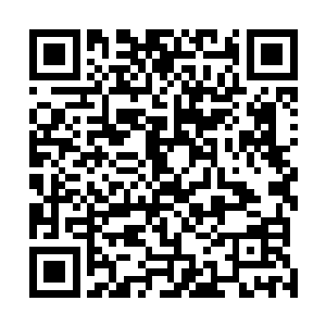 但是旅游工作的确如你们所说是一个综合协调发展的工作二维码生成