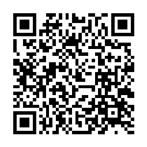 但是无奈灵智道人就是不愿意说出这里面到底是什么二维码生成