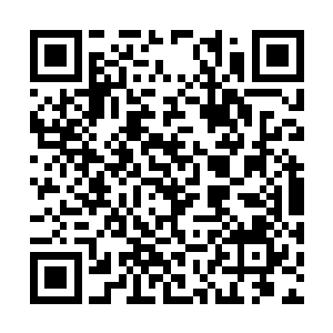 但是无论是俗世的诊断方法还是晋元界的诊断方法二维码生成