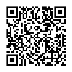 但是既然有这么神奇的小树的可以把石头转化成灵气二维码生成