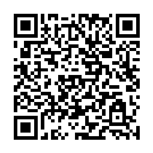 但是日族族长和月族族长对许紫烟也没有那么大的杀意二维码生成