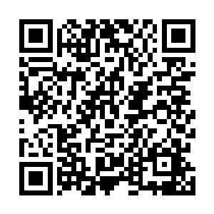 但是早有一些从食堂那边跟随她们而来的学生们挡着道路二维码生成