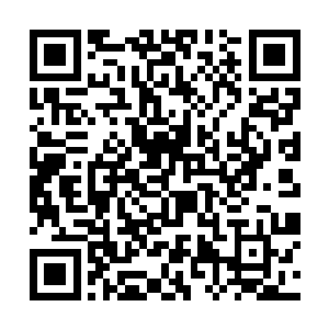 但是明斯克却说寒光之握是封印荒野之神本尊的关键二维码生成