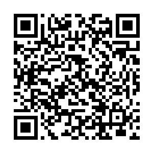 但是明显是白熙颜和叶飞两个人联手也微微落于下风二维码生成