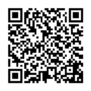 但是显然想要支撑一个强大的护宗大阵的话显然根本就不够用二维码生成