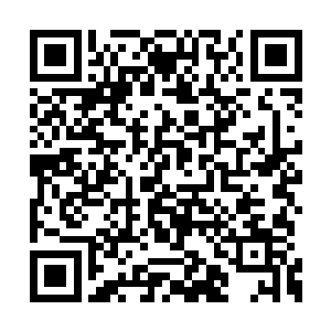 但是显然这一切对于龙傲天来说根本就不算什么二维码生成