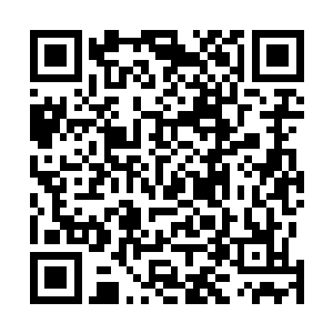 但是显然那些东西跟这个九幽魔莲根本就不是一个档次的二维码生成