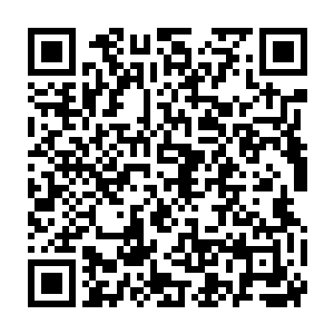 但是智商上的发展却是完全受限的……灵兽级别的依然是灵兽级别的二维码生成