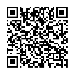 但是更多人再围过来看到了变瘦版本的胖子张真之后二维码生成
