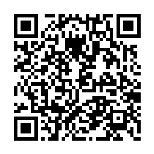 但是最起码也知道那皇族僵尸究竟是何等的稀少二维码生成