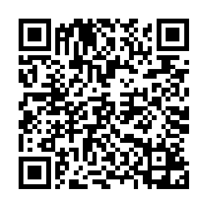 但是有个吴老爷子派来专门服侍吴婵娟的婆子却一把拉住她二维码生成