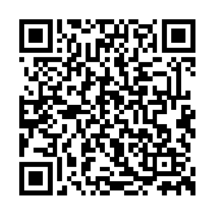 但是本姑娘还是勉为其难的给你们面子送你们吧二维码生成
